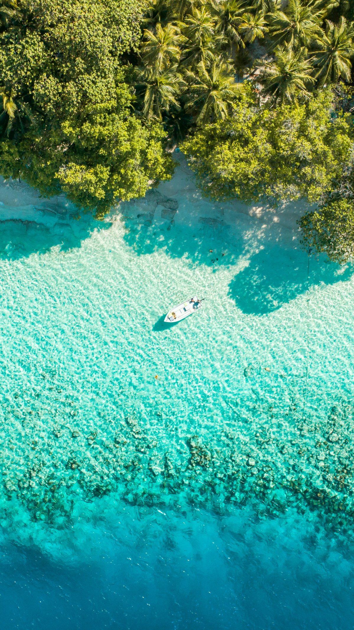 Best Time to Visit the Maldives: A Seasonal Guide
