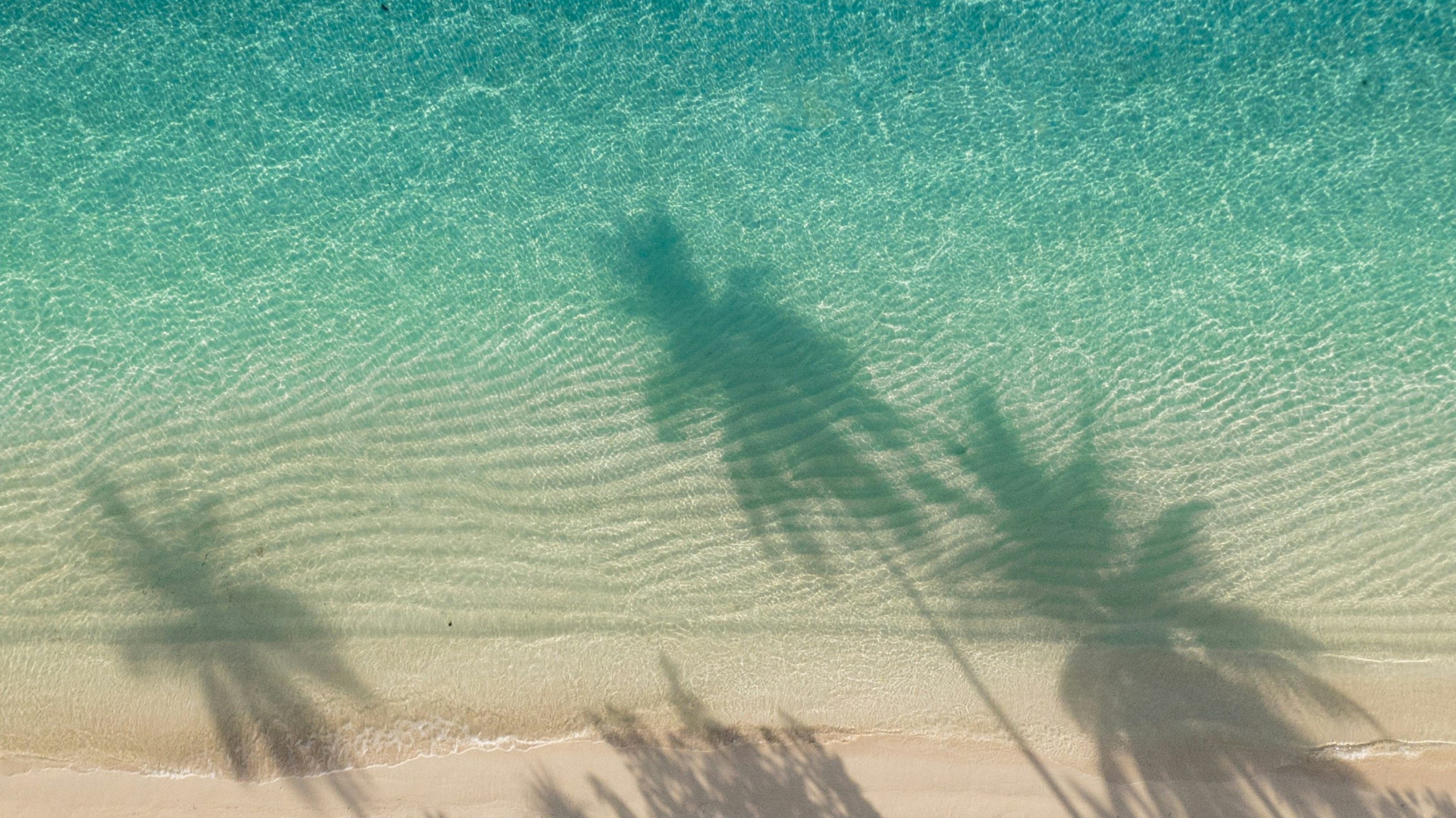 The Art of Travel Made Yours